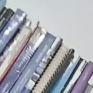 Nadia Larios Camacho